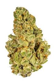 Kush Mints Strain Hybrid Cannabis Review Cbd Thc Terpenes Hytiva