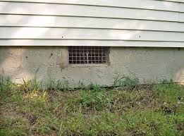 He was very nice and. Termite Damage Pest Control In Crawl Spaces Near Binghamton Ithaca Elmira New York