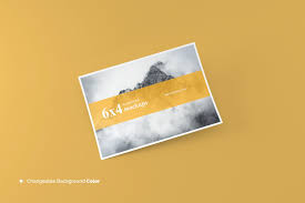 6x4 Postcard Flyer Mockup Flyer Mockup Postcard Mockup Illustration Artwork Sketches