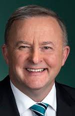 Anthony Albanese MP