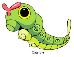 caterpie