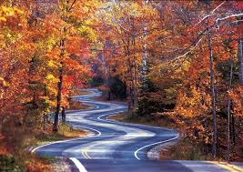 Tail Of The Dragon In The Fall One Of The Most Dangerous Roads I Won T Go On It People Come F Fall Foliage Road Trips Door County Wisconsin Wisconsin Travel