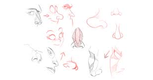 How To Draw A Nose For Kids Review At How To Api Ufc Com You can use a normal pencil or graphite drawing pencils.