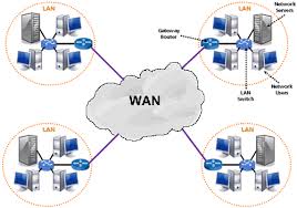 Image result for wan