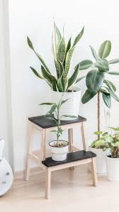 How To Decorate Like The Design Pros Plant Edition In 2020 Ikea Plants Ikea Bekvam Decor