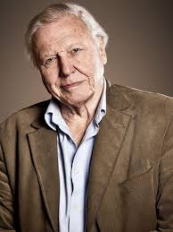 Attenborough: 60 Years in the Wild