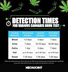 How long does weed stay in your urine? Drug Testing Tips