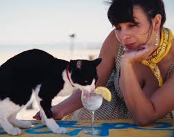 Heartland music video up now! Bio in link ⛓️‍💥 , Filmed in Imperial Valley  with the time and talents of:, @danicaninus