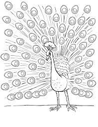Peacock coloring easy simpsons simple colorful #16372547. Free Printable Peacock Coloring Pages For Kids