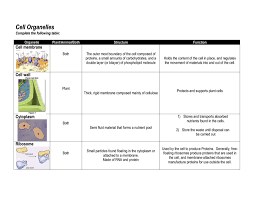 All cells are basically alike in structure and metabolic activities. Cell Organelles