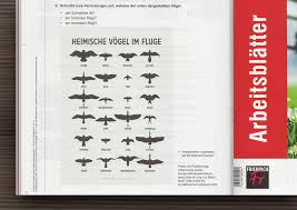 Check spelling or type a new query. Veroffentlichung Vogelflug Fur Den Friedrich Verlag Iris Luckhaus Illustration Design