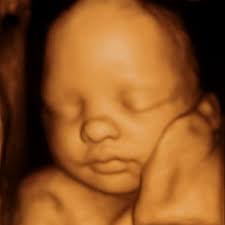 Jenna and Cory Booth's Baby Registry at Babylist