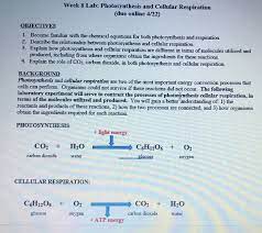 Oxygen and glucose are both the reactants for cellular respiration. Solved Week 8 Lab Photosynthesis And Cellular Respiratio Chegg Com