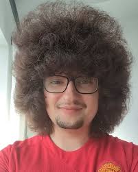 We [NPP] apologise to Ghanaians for disappointing them...