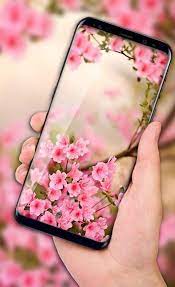 Bring your smartphone to life with an android flower background and experience flower images like you have never done. Spring Flowers Wallpapers Free 4k Backgrounds Hd For Android Apk Download