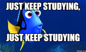 Image result for studying memes