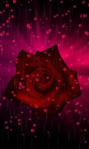Download them for free and use them for your valentines card, website or blog post! Love Rose Free Android Live Wallpaper Download Appraw
