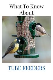 Feeder Bird Identifier By Picture What To Know About Tube Feeders In 2020 Bird Feeders Feeder Bird Species