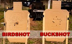 #4 buck will definitely kill a large deer, so humans wearing normal clothing won't stand much of a chance at close range. Birdshot Vs Buckshot Best Home Defense Option