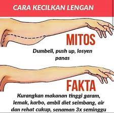 Lengan adalah sebahagian daripada bahagian tubuh yang akan 'membesar' apabila seseorang mengalami kenaikan berat badan. Tip Untuk Kecilkan Lengan Jom Sachainchi Bintulu Facebook