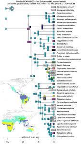 Image result for Blainvillea gayana