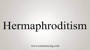 An animal or plant having both male and female reproductive organs, structures, or tissue : How To Say Hermaphroditism Youtube