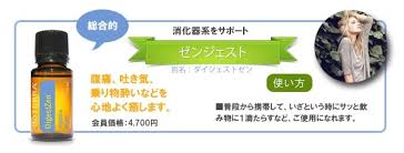 「胃腸炎　ドテラ」の画像検索結果