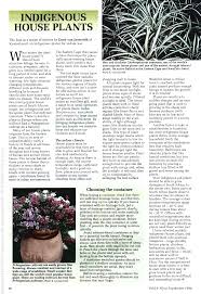 Image result for Cussonia arenicola