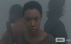 The Walking Dead' recap ('Alone'): season 4, episode 13