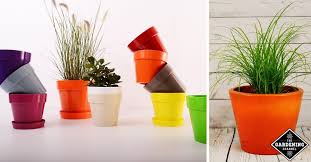 Browse a large selection of indoor planter designs for sale on houzz, including orchid pots, herb pots and indoor hanging planters in all colors, shapes and sizes. Do You Need Holes In Your Plant Pots Gardening Channel