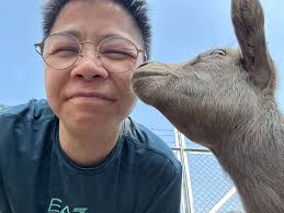 河邊有隻羊🤭🤭🤭個個都差唔多樣😅😅😅