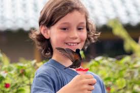 Using Genomics and Modern Technologies to Conserve and Understand Blue  Mountains Birds