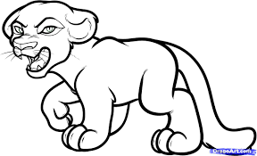 Tropical rainforest biome worksheets and printables. How To Draw Animals That Live In The Rainforest
