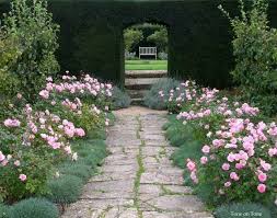Penelope Hobhouse Gardens Google Search Garden Shrubs Rock Garden Landscaping Garden Tours