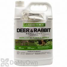 Deer and rabbits don't have to eat vegetation for the repellent to be effective. Is Liquid Fence Deer Rabbit Repellent Rtu Harmful To Toads And Frogs