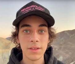 The Tristan Alva Alliance