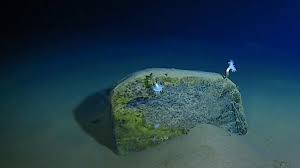 Relief dasar laut adalah perbedaan tingi dan rendah nya bentuk muka bumi di dasar laut. Jadi Titik Terdalam Di Bumi Apa Saja Isi Palung Mariana Era Id