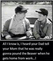 Enjoy reading and share 13 famous quotes about leave it beaver with everyone. Leave It To Beaver Quotes Quotesgram
