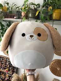 My Handsome Boy Found Him At Target Today Squishmallow Squishmallow valentine cat super soft plush. my handsome boy found him at target