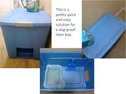 Easy And Quick Solution For Dog Proof Litter Box Dog Proof Litter Box Litter Box Diy Litter Box