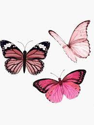 Pegatina Pegatinas De Mariposa Rosa Estetica De Emmagsheehan Butterfly Art Print Butterfly Wallpaper Iphone Butterfly Drawing
