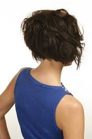 Our hairstyles will add or subtract time to your age, therefore select properly, depending which way you want to. 29 Layer Cut Hairstyle For Curly Hair Back View Amazing Ideas