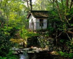 Maybe someday subject a and subject b will make a drama together. Forest House Jigsaw Puzzle