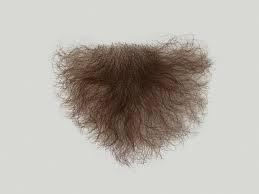 Add 6 different types of pubes. Atb Pubic Hair P1 Female Shape 3706 Facial Hair Wigs Hair Atelier Bassi