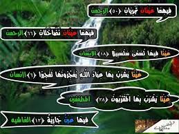 عيون الجنة تسنيم سلسبيل كافورا زنجبيل عين نضاخة عين جارية 1 عين تسنيم ي س ق و ن م ن ر ح يق م خ ت وم خ ت ام ه م س ك و ف lockscreen