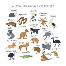 Kids Minimal Animals Australia Australia Animals Australian Animals Cute Australian Animals