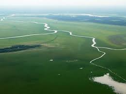 Geography The Amazon River Is The Second Largest River In South America In The Picture Above It Shows A Birds Eye View Of T Birds Eye View River Amazon River