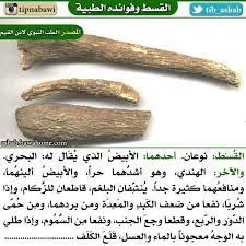 pin by kahled ale on صحة health and nutrition health diet natural medicine