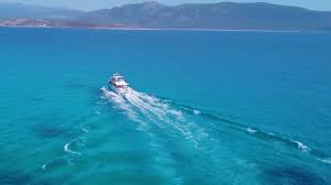 It is a major distributor of spirits and the world's largest producer. I Really Think I Like Poisonous Snakes Corujado Music Room Pop Focus Piano Youtube