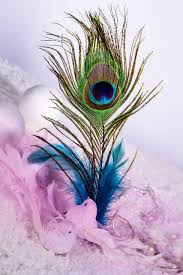 Download Feather Wallpaper By Arpanmeet1984 37 Free On Zedge Now Browse Milli Shree Krishna Wallpapers Radhe Krishna Wallpapers Lord Krishna Hd Wallpaper Find the best god krishna hd wallpaper on getwallpapers. shree krishna wallpapers